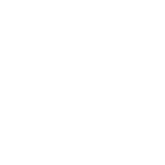 Mercedes-Benz Vans Charleston logo